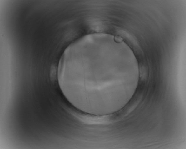 X0000094940036200712271622