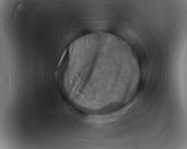 X0000094940041200712271622
