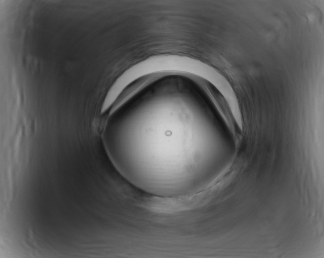 X0000094940045200712271622
