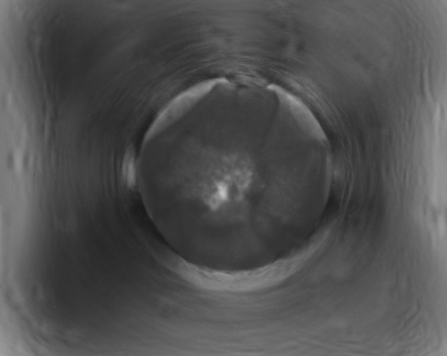X0000094940046200712271621