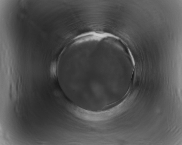 X0000094940047200712271621