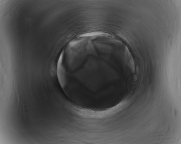 X0000094940048200712271621