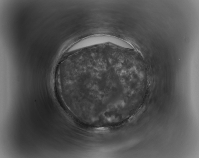 X0000094940053200712271621