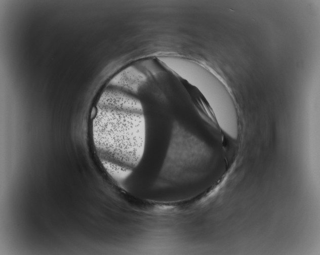 X0000094940055200712271621