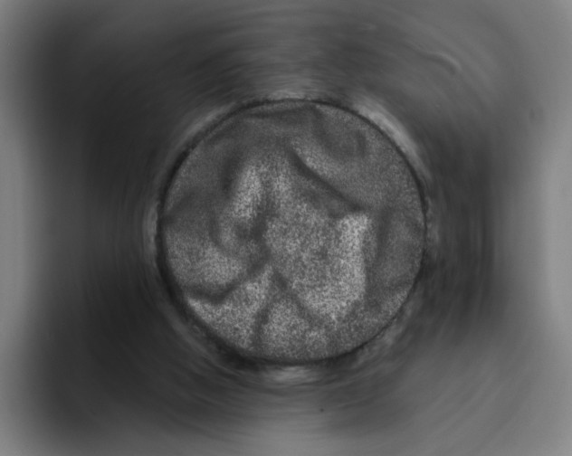 X0000094940058200712271621