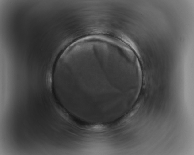 X0000094940059200712271621