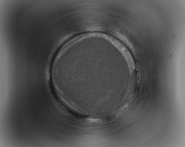 X0000094940060200712271621