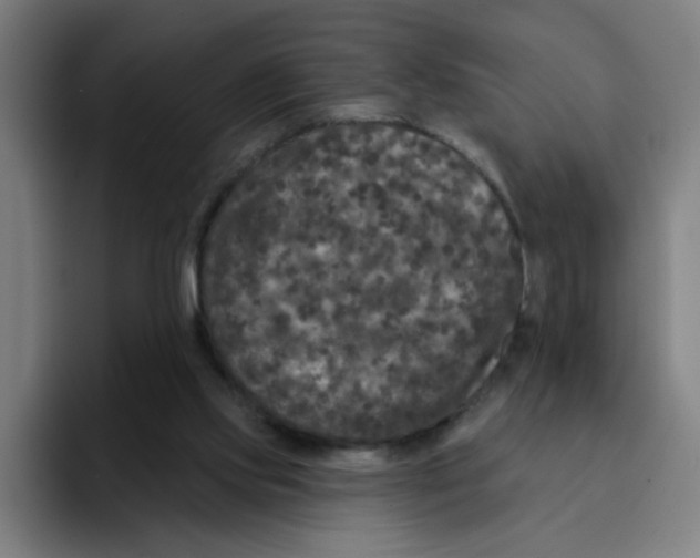 X0000094940061200712271621