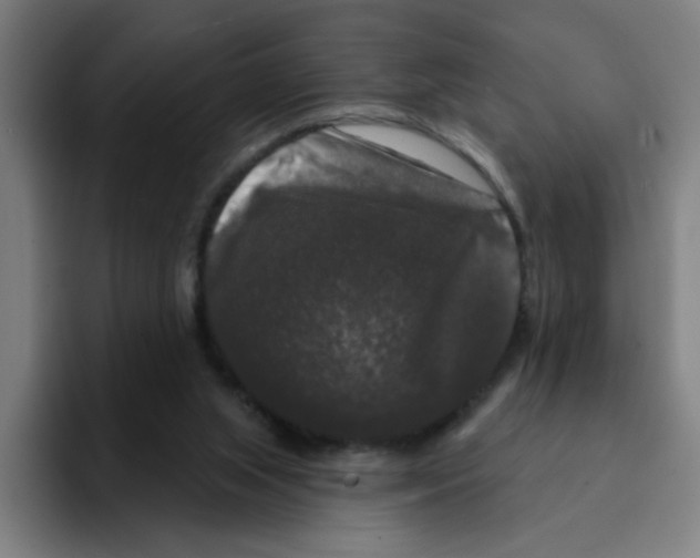 X0000094940063200712271621