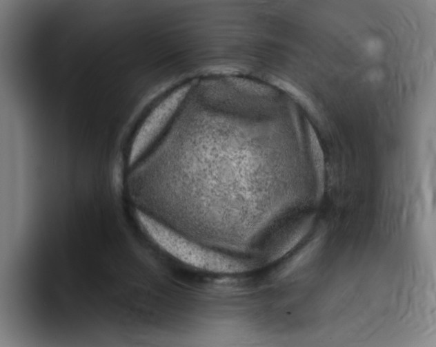 X0000094940064200712271621