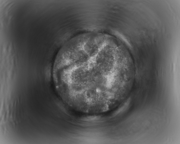 X0000094940065200712271621