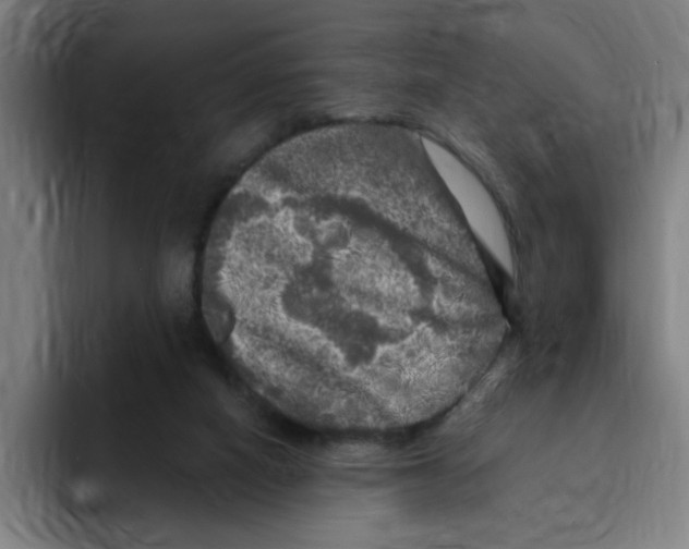 X0000094940066200712271621