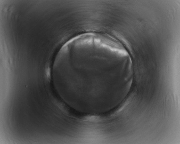 X0000094940067200712271621