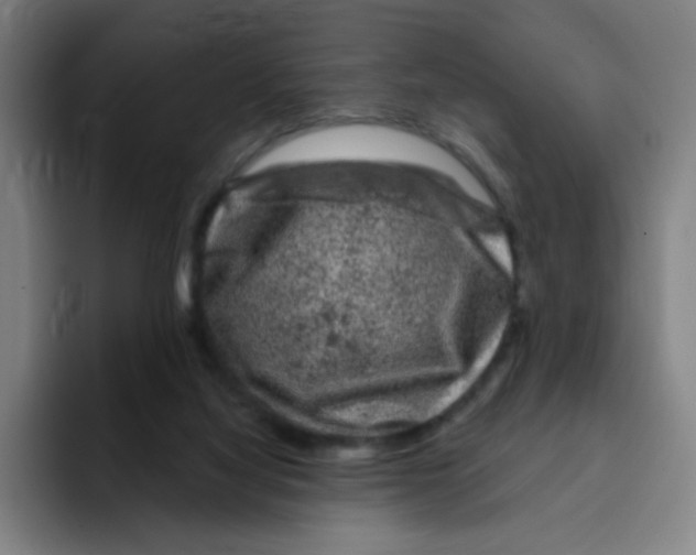X0000094940068200712271621