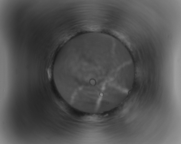 X0000094940069200712271621