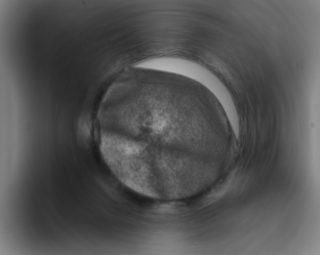 X0000094940072200712271621