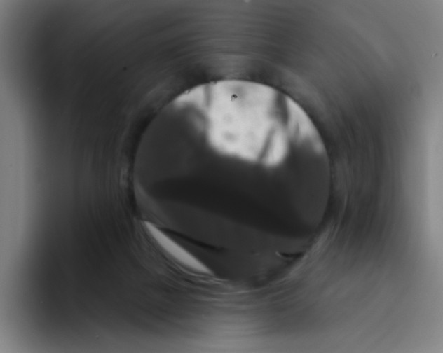 X0000094940073200712271621