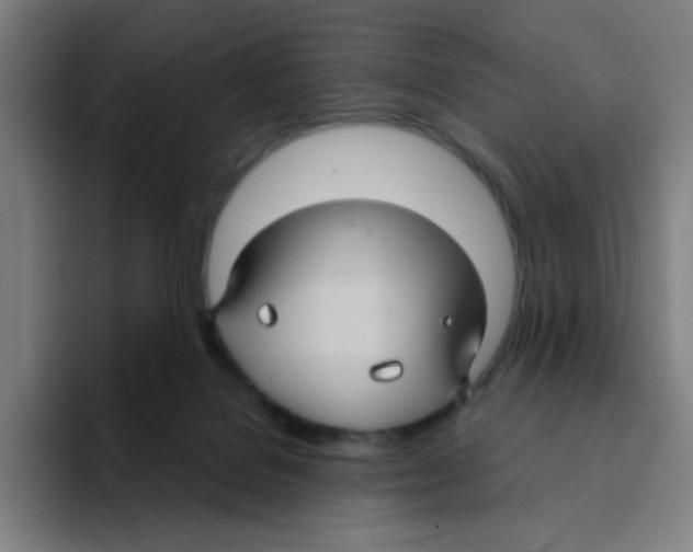X0000094940076200712271621
