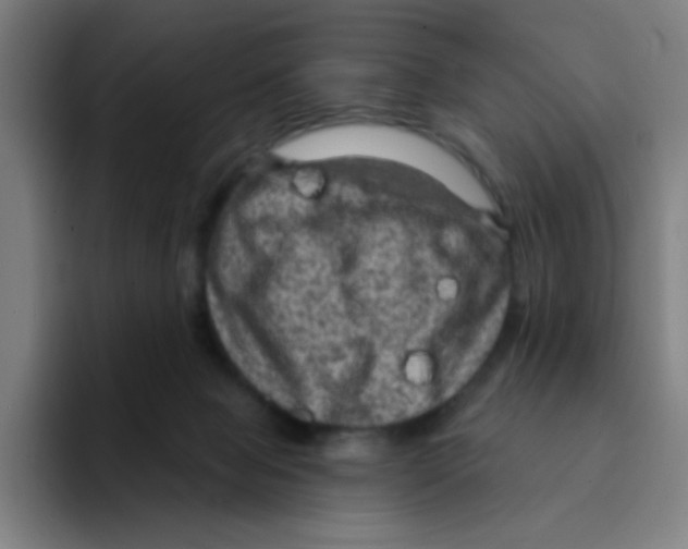 X0000094940077200712271621