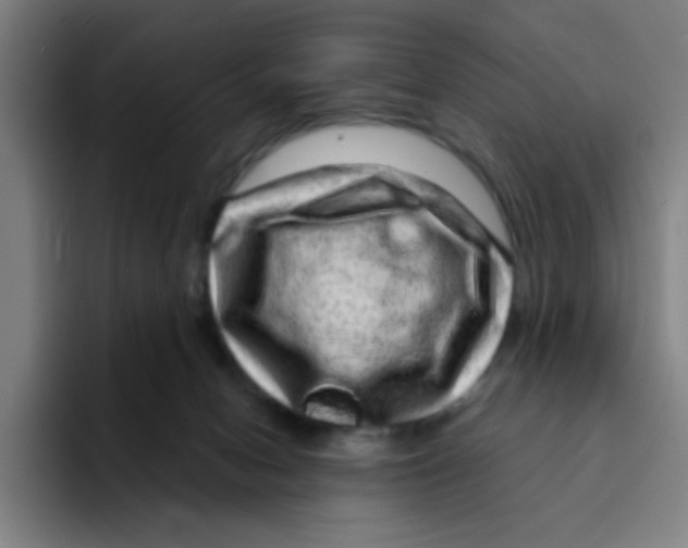X0000094940078200712271621