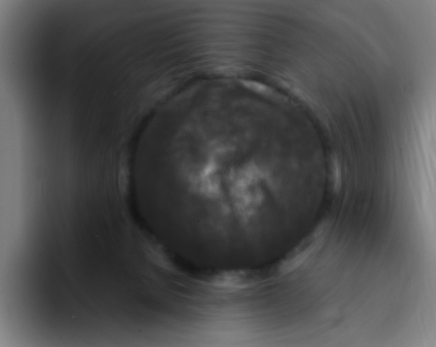 X0000094940080200712271621
