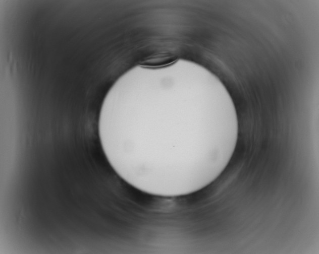 X0000094940083200712271621