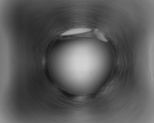 X0000094940084200712271621