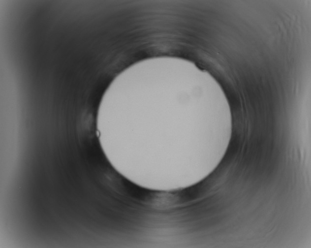 X0000094940087200712271621