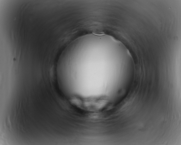 X0000094940088200712271621