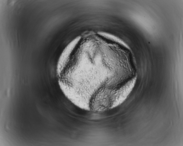 X0000094940093200712271621