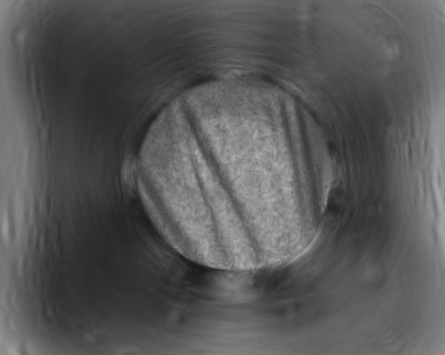 X0000094940094200712271621