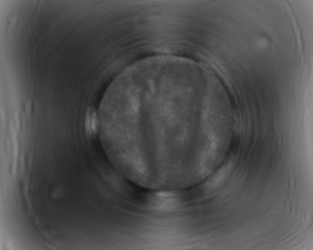 X0000094940095200712271621