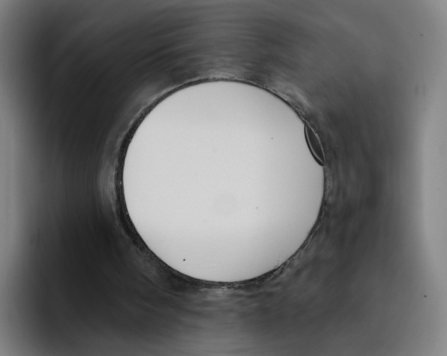 X0000094940098200712271621