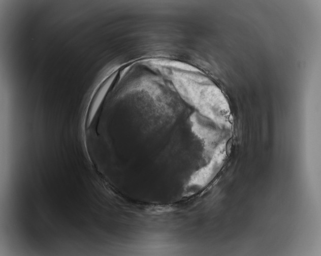 X0000094940099200712271621