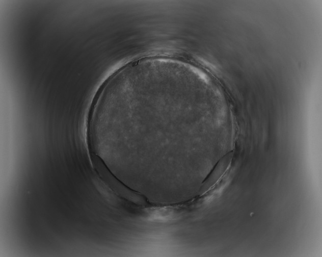 X0000094940100200712271621