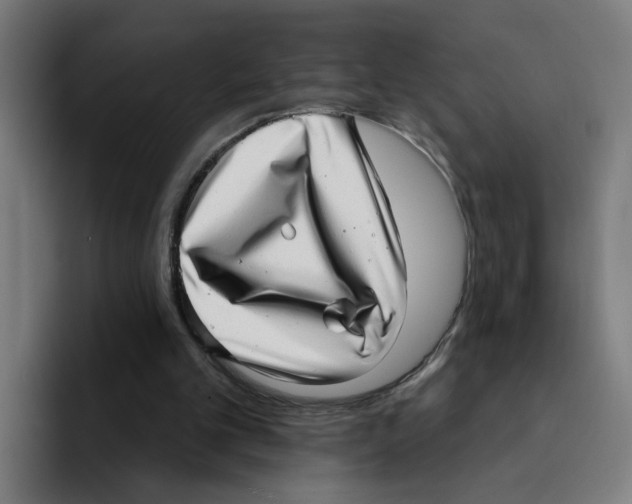 X0000094940101200712271621