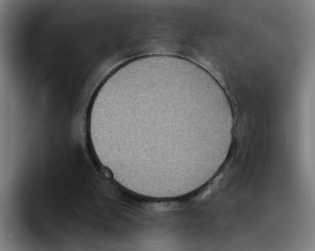 X0000094940103200712271621