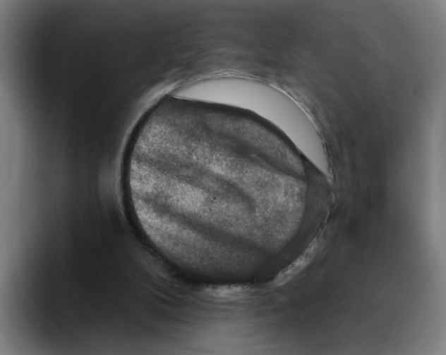 X0000094940104200712271621