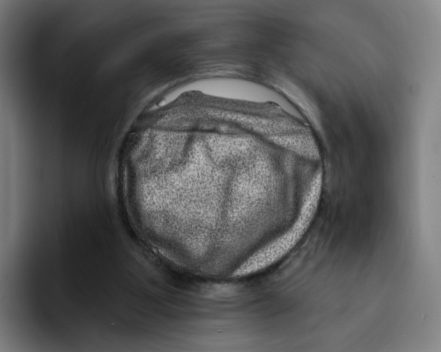 X0000094940107200712271621
