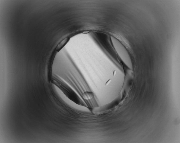 X0000094940108200712271621