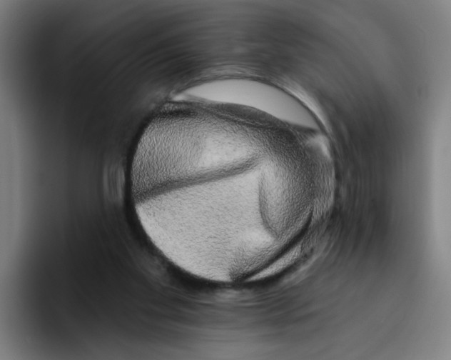 X0000094940109200712271621