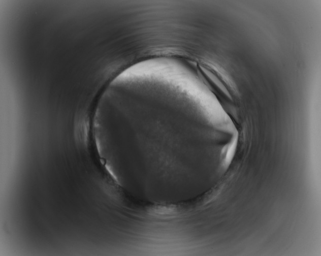 X0000094940110200712271621