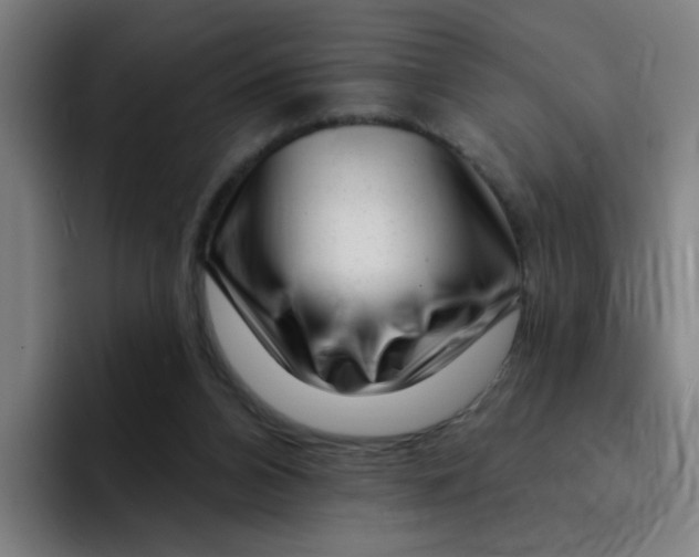X0000094940112200712271621