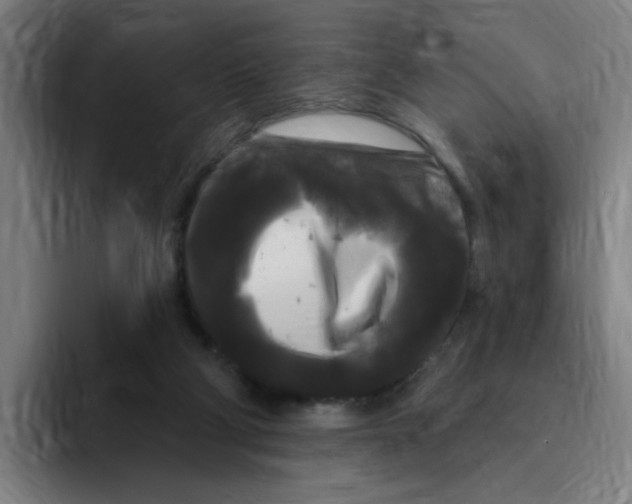 X0000094940114200712271621
