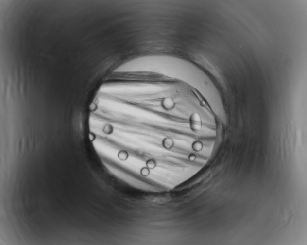X0000094940115200712271621
