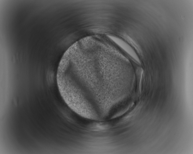X0000094940117200712271621
