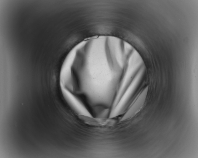 X0000094940120200712271621