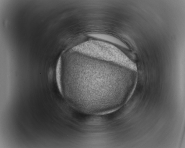X0000094940123200712271620