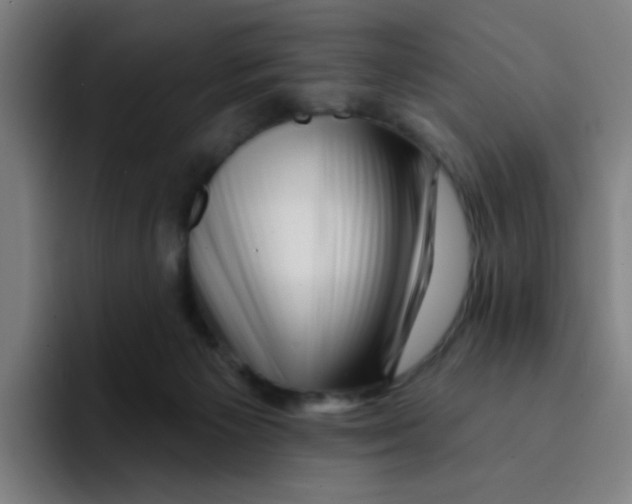 X0000094940125200712271620