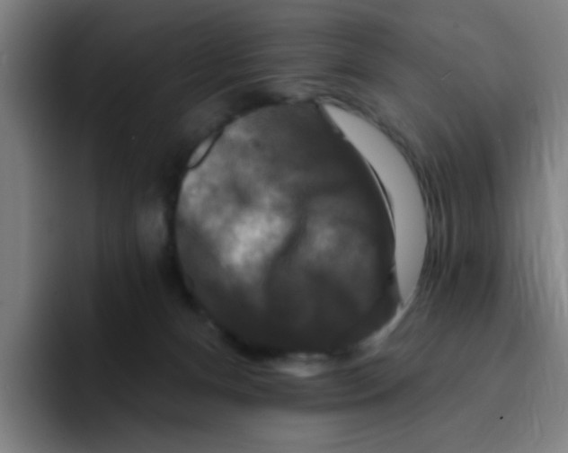 X0000094940128200712271620